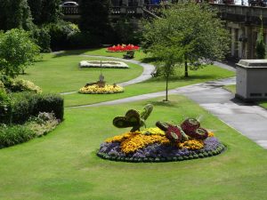 DSC00599