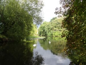 DSC01460