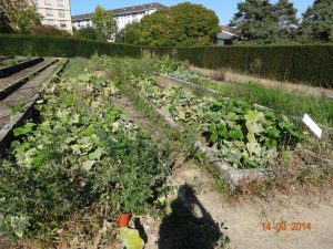complexe horticole