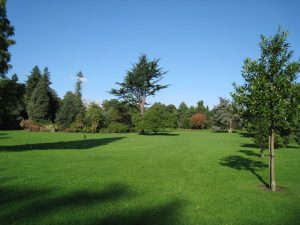 IMG_3056