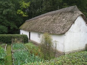 IMG_3115