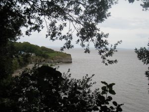 IMG_3293