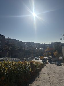 Der Weg vom Wald zur Schule