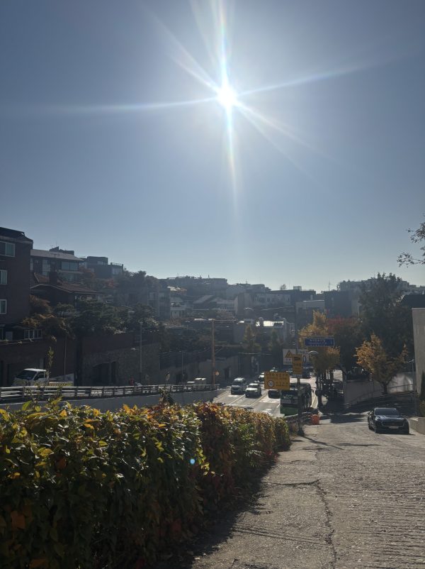 Der Weg vom Wald zur Schule