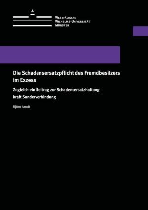 Cover Die Schadensersatzpflicht des Fremdbesitzers im Exzess