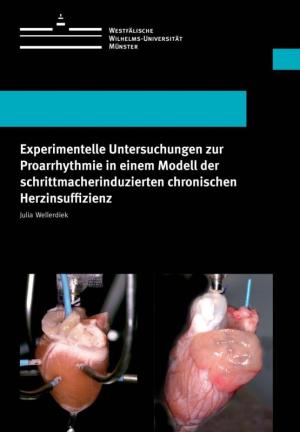 Cover Experimentelle Untersuchungen zur Proarrhythmie in einem Modell der schrittmacherinduzierten chronischen Herzinsuffizienz