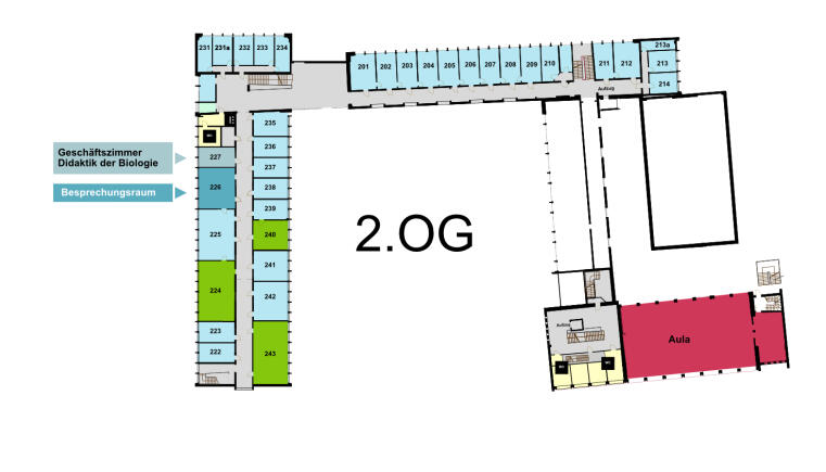 Raumplan Zweites Obergeschoss