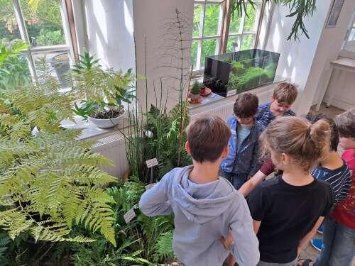 Kinderprogramm