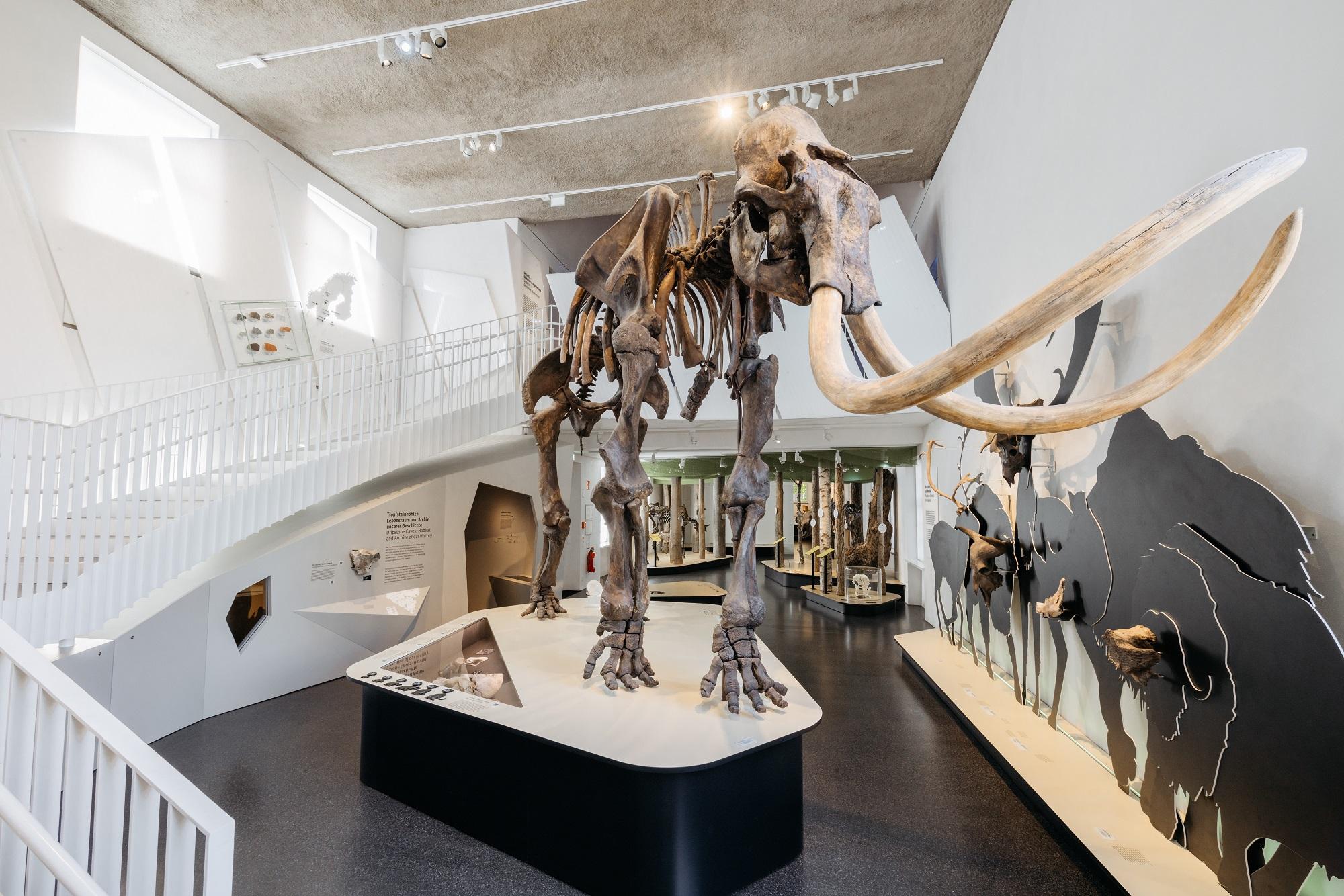 Wollhaarmammut