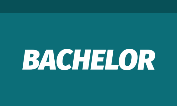 Tile-bachelor