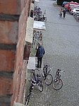 DSC00297.JPG