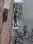 DSC00299.JPG