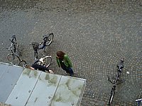 11280012.JPG