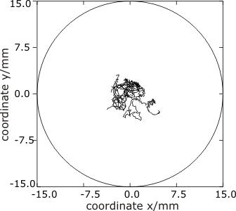 Dynamics below drift bifurcation