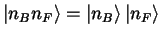 $\left \vert n_Bn_F \right >=\left \vert n_B \right >
\left \vert n_F \right >$