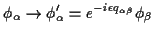 $\displaystyle \phi_\alpha\rightarrow\phi'_\alpha=e^{-i\epsilon
q_{\alpha\beta}}\phi_\beta$