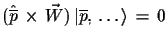 $ (\hat{\overline{p}}\,\times\,\vec{W})\,\ensuremath{\vert\overline{p},\,\dots\rangle}\,=\,0$