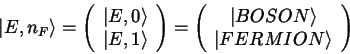 \begin{displaymath}\left \vert E,n_F \right >= \left( \begin{array}{c} \left \ve...
...N \right > \\ \left \vert FERMION \right > \end{array} \right
)\end{displaymath}