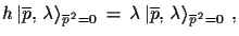 $\displaystyle h\,\ensuremath{\vert\overline{p},\,\lambda\rangle}_{\overline{p}^...
...\,\ensuremath{\vert
 \overline{p},\,\lambda\rangle}_{\overline{p}^{\,2}=0}\,\,,$