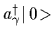 $a_\gamma^\dagger\mbox{$\vert\,0\!>$}$