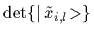 $\det \{\mbox{$\vert\,\tilde x_{i,l}\!>$}\}$