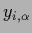 $y_{i,\alpha}$