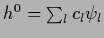 ${h}^0 = \sum_l c_l \psi_l$