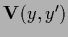 ${\bf V}(y,y^\prime )$