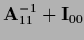 ${\bf A}_{11}^{-1} + {\bf I}_{00}$