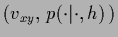 $(v_{xy},\, p(\cdot\vert\cdot,{h})\,)$