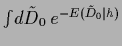 $\int \!d\tilde D_0 \,e^{-E(\tilde D_0\vert{h})}$