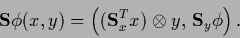 \begin{displaymath}
{\bf S} \phi(x,y)
=\left( ({\bf S}_x^T x) \otimes y, \, {\bf S}_y \phi \right)
.
\end{displaymath}