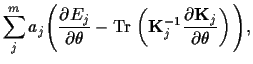 $\displaystyle \sum_j^m
a_j
\Bigg(
\frac{\partial E_{j}}{\partial \theta}
-{\rm ...
...left(
{\bf K}_j^{-1}\frac{\partial {\bf K}_j}{\partial \theta}
\right)
\Bigg)
,$