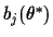 $b_j(\theta^*)$