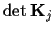 $\det {\bf K}_j$