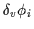 $\delta_v\phi_i$