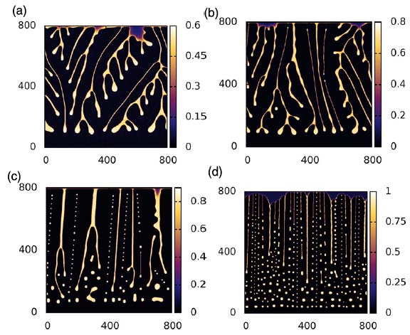 Evaporative dewetting of nanoparticle suspension