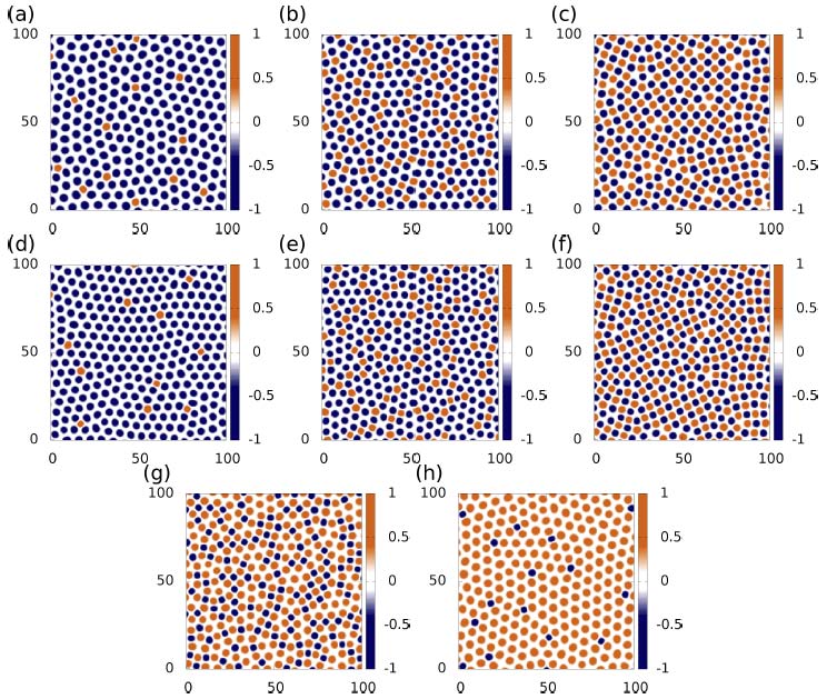 Binary Phase Field
Crystal model: transition of crystal structure with changing composition