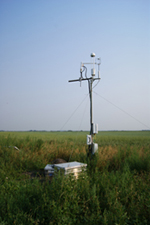 Station in the oat field (photo: E. Fleischer)