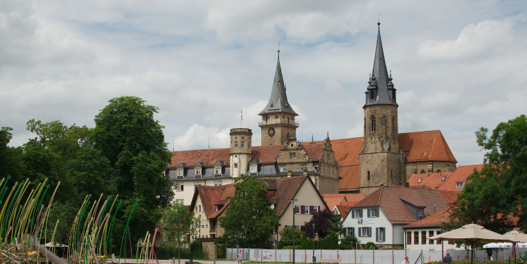 Stadtansicht mit roten Dächern, historischen Gebäuden und zwei markanten Kirchtürmen unter einem bewölkten Himmel, eingerahmt von großen Bäumen.