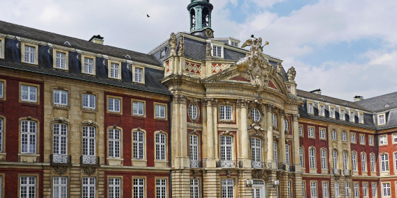 Bild Schloss Münster Vogelperspektive