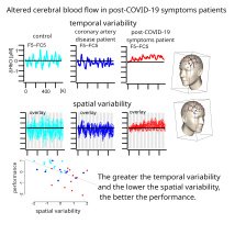 Cover Assessment of dynamic cerebral blood flow changes during cognitive tasks in patients with post-COVID-19 syndrome