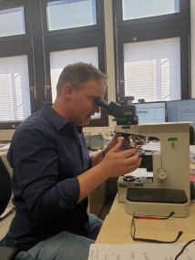 Dr. Georg Spiekermann