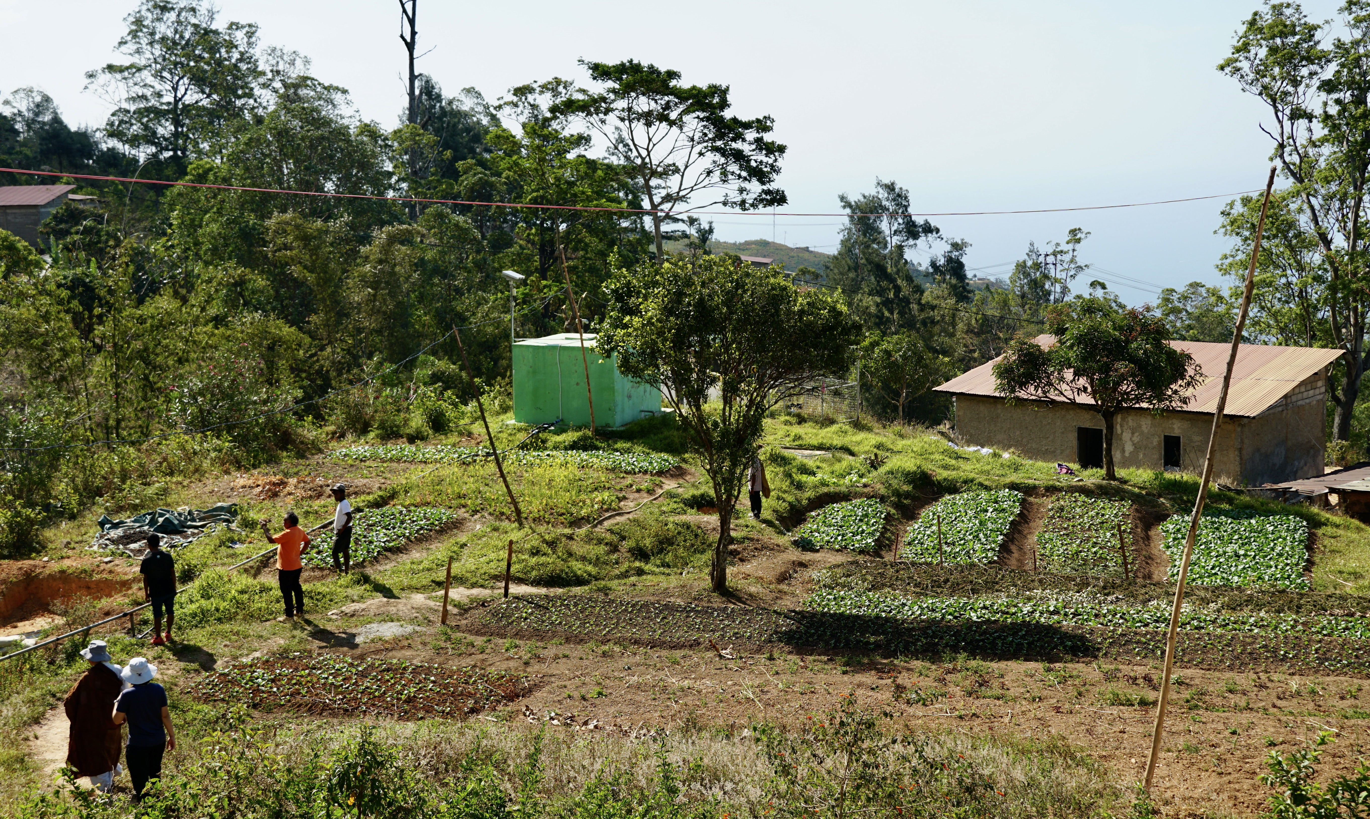 Permakultur Osttimor