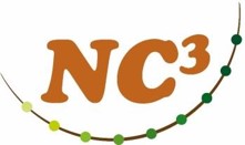 Sfb Nc3 Logo