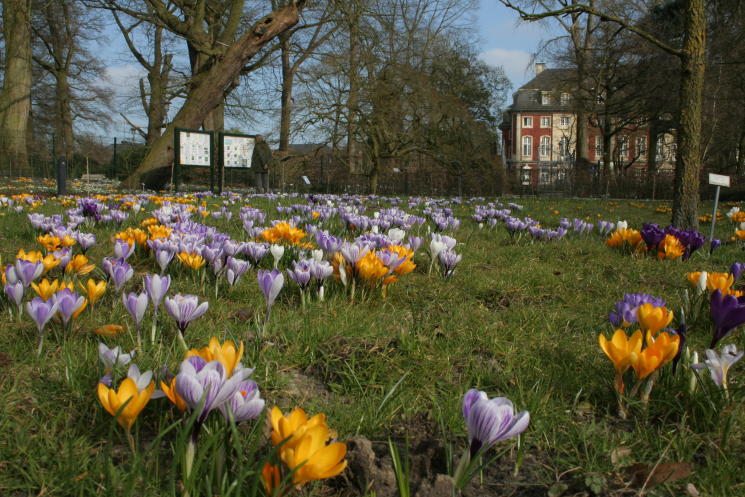 Der Botanische Garten In Munster Vorstellung Und Offnungszeiten