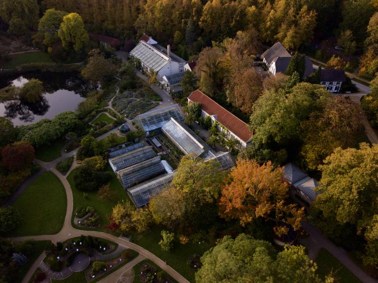 Botanical Garden Of The University Of Munster
