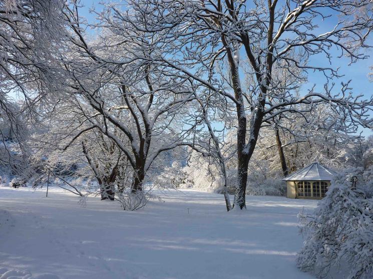 Botanical Garden Of The University Of Munster