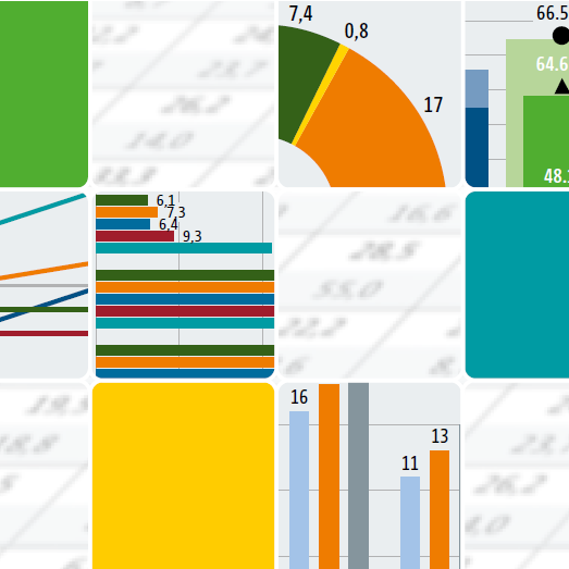 Bundesbericht Wissenschaftlerinnen und Wissenschaftler in einer frühen Karrierephase 2025