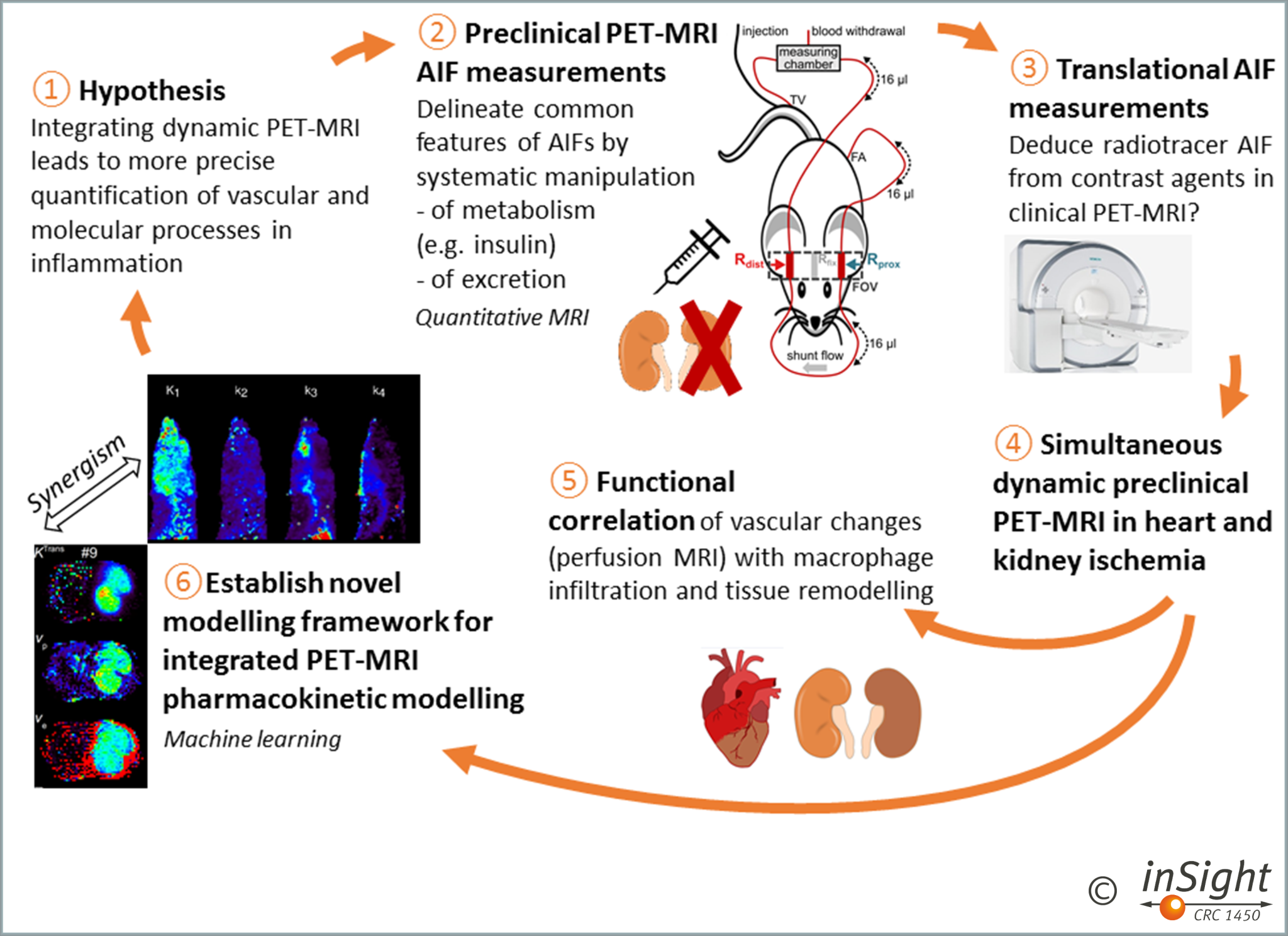 Project B06 – Dynamic PET-MRI for integrated quantification of ...
